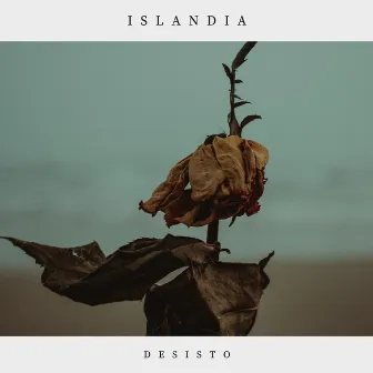 Desisto by Islandia