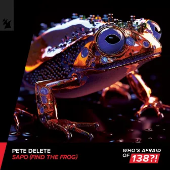 Sapo (Find The Frog) by Pete Delete