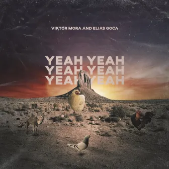 Yeah Yeah by Elias Goca