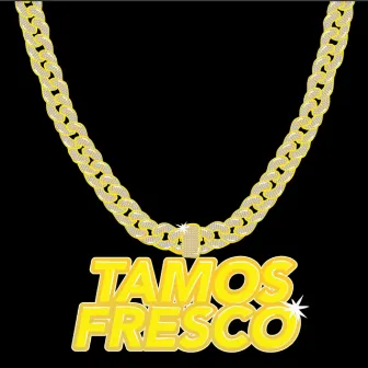 Tamos Fresco by CNO Kingteam