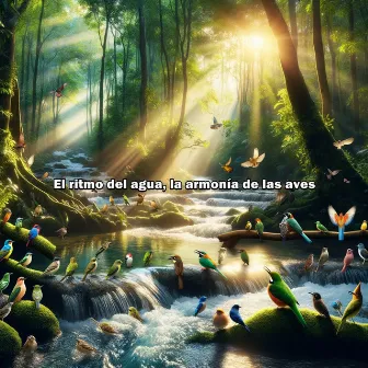 El ritmo del agua, la armonía de las aves by Sonido Ambiente