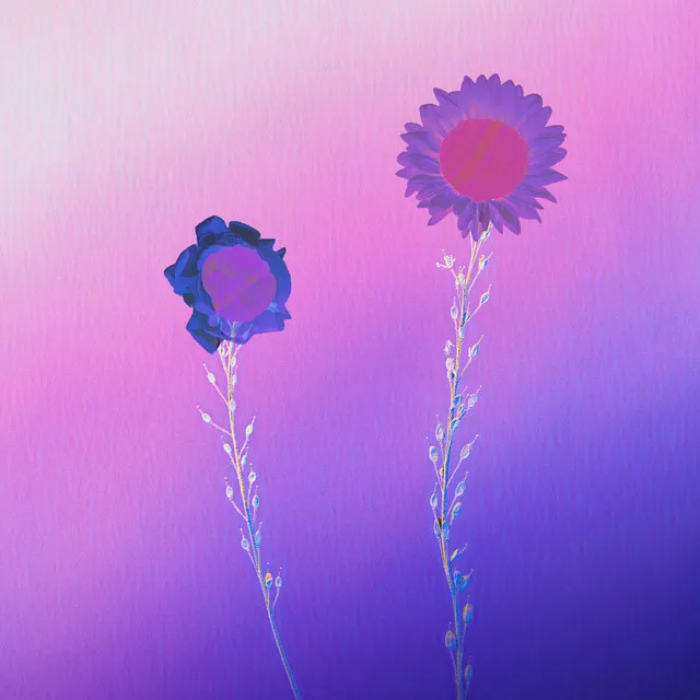 Vector Flowers