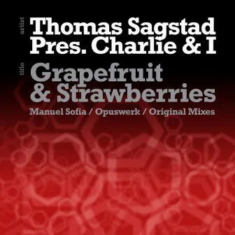 Grapefruit & Strawberries (Opuswerk Remixes) by Thomas Sagstad