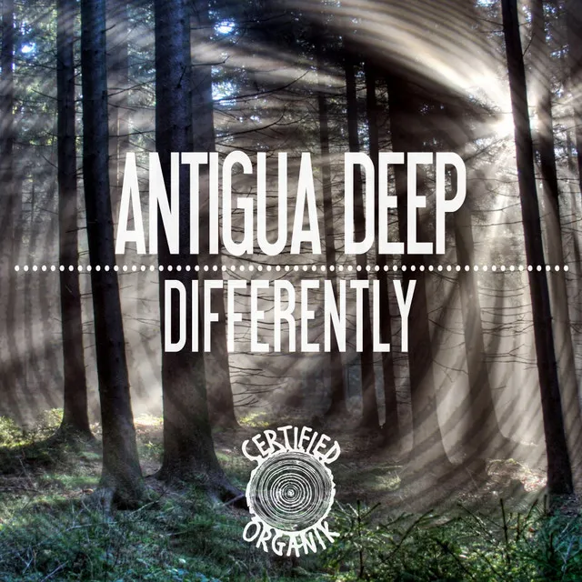 Differently - Reprise Mix