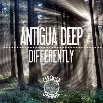 Differently by Antigua Deep