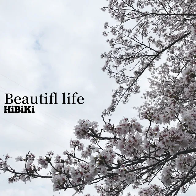 Beautiful life