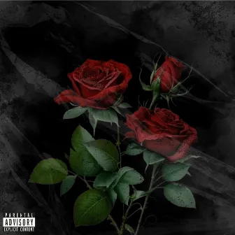 100 Roses by Zeddy East