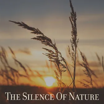 The Silence Of Nature by Therapy Radio