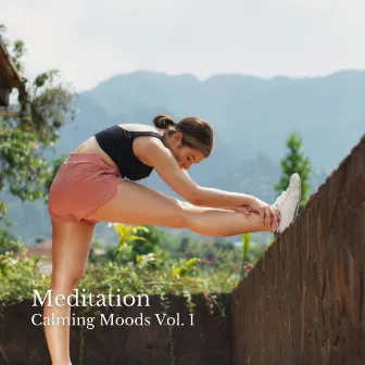 Meditation: Calming Moods Vol. 1 by Songs for Dogs to Sleep To