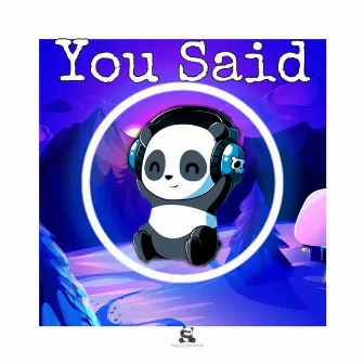 You Said by Panda Records