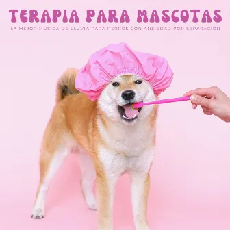 Terapia Para Mascotas: La Mejor Música De Lluvia Para Perros Con Ansiedad Por Separación by Llover fuerte