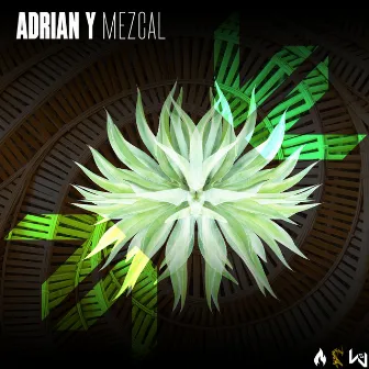 Mezcal by Adrian Y