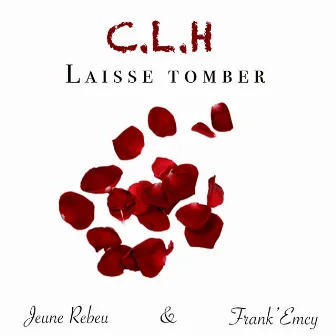 Laisse tomber by C.L.H