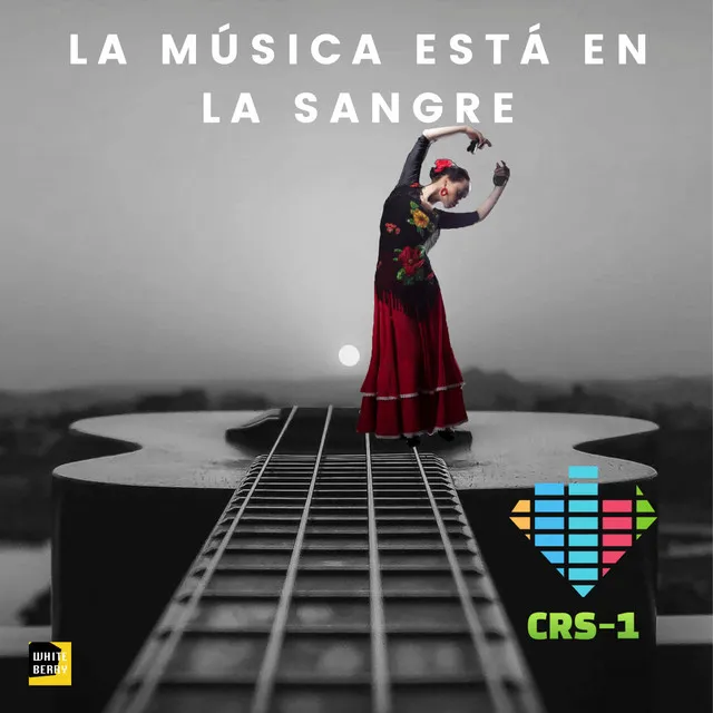 La música está en la sangre - Radio