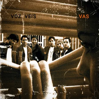 Vas by Voz Veis