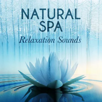 Natural Spa Relaxation Sounds by Sleep Music with Nature Sounds Relaxation