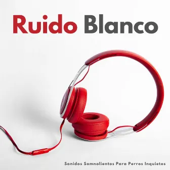 Ruido Blanco: Sonidos Somnolientos Para Perros Inquietos by Relajación de ruido blanco natural