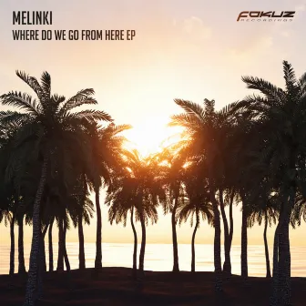 Where Do We Go From Here EP by Melinki