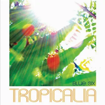 Tropicalia by Blue Six