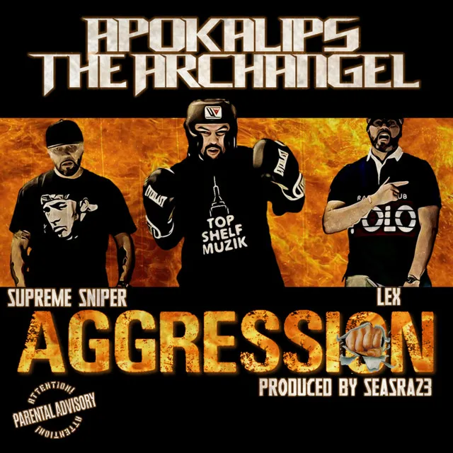 Aggression