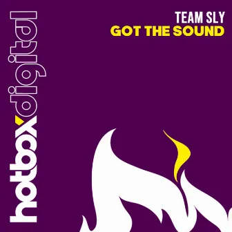 Got The Sound by Team Sly