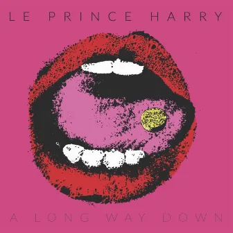 A Long Way Down by Le Prince Harry