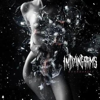 Boundaries by In Dying Arms