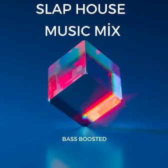 Slap House Music Remix Bass Boosted by nest