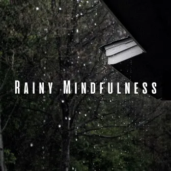 Rainy Mindfulness: Elevating Focus with Pink Noise by Shush Shush Shush