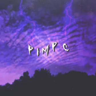 Pimp C by Comfort Boys