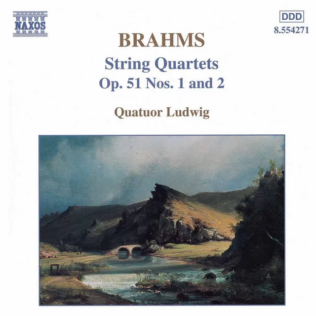 String Quartet No. 1 in C Minor, Op. 51 No. 1: IV. Allegro