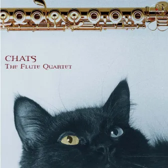 Chats by Marc Berthomieu by The Flute Quartet