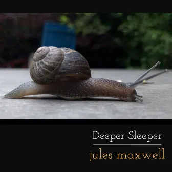 Deeper Sleeper by Jules Maxwell