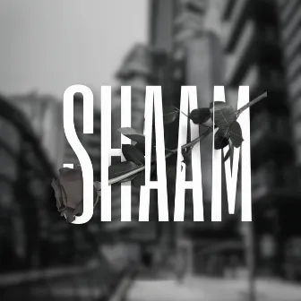 Shaam by Vibe Beats