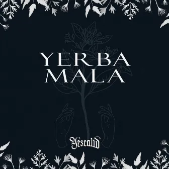 Yerba Mala by Yescalid