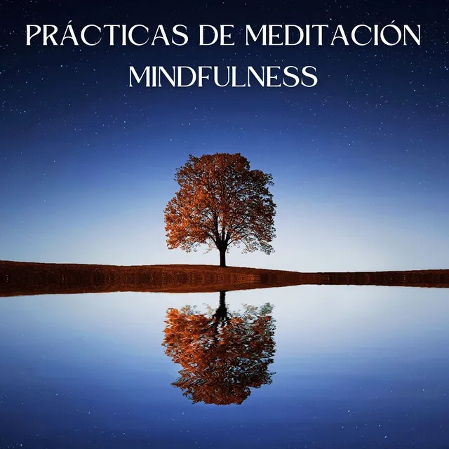 Prácticas De Meditación Mindfulness