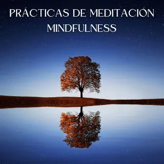 Prácticas De Meditación Mindfulness by Ruido brillante para la meditación