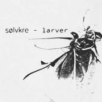 Larver by Sølvkre