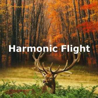 Harmonic Flight by Birdland Nature