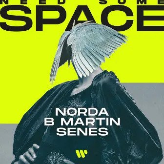 Need Some Space by B Martin