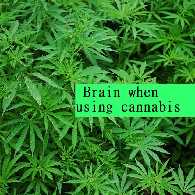 Brain when using cannabis