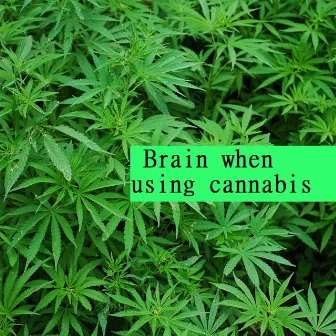 Brain when using cannabis by Scientific Sound Source