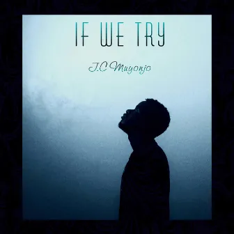 IF WE TRY. by J.C Muyonjo