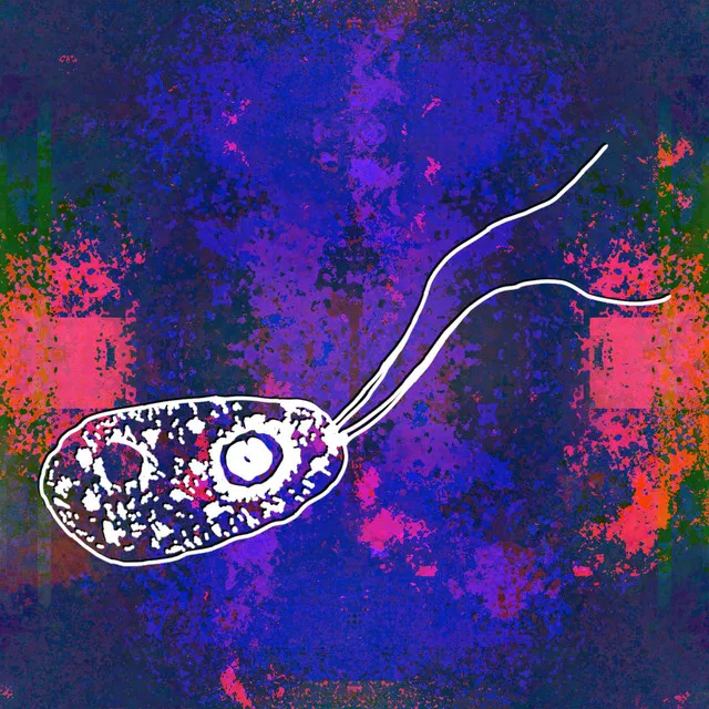 Brain Eating Amoeba