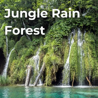 Jungle Rain Forest by Drifting Streams