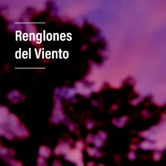 Renglones del Viento by Valen Pinto