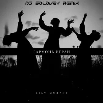 Гармонь Играй (DJ Solovey Remix) by Lily Murphy