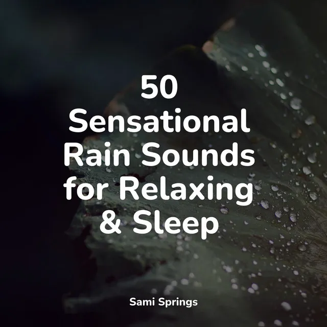 50 Sensational Rain Sounds for Relaxing & Sleep