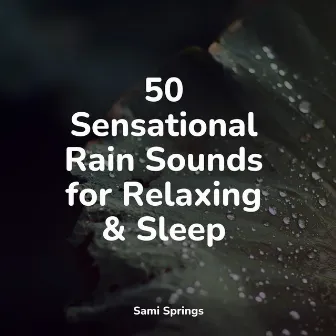 50 Sensational Rain Sounds for Relaxing & Sleep by Soothing Nature Sounds