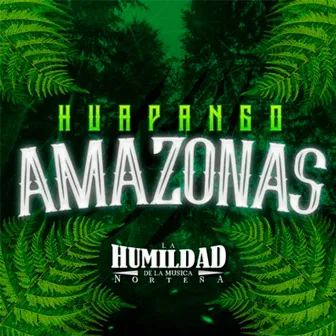 Huapango Amazonas by La Humildad De La Musica Norteña